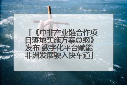 《中非产业链合作项目落地实施方案总纲》发布 数字化平台赋能非洲发展驶入快车道