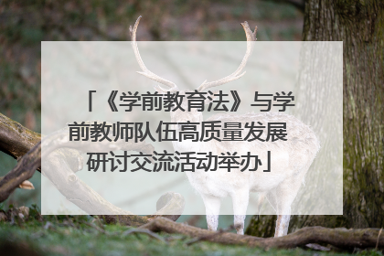 《学前教育法》与学前教师队伍高质量发展研讨交流活动举办