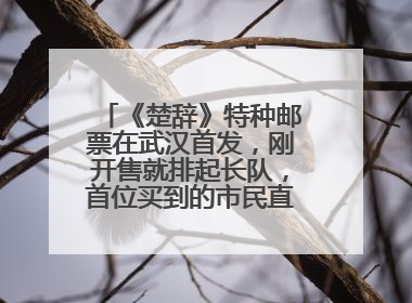 《楚辞》特种邮票在武汉首发，刚开售就排起长队，首位买到的市民直呼激动