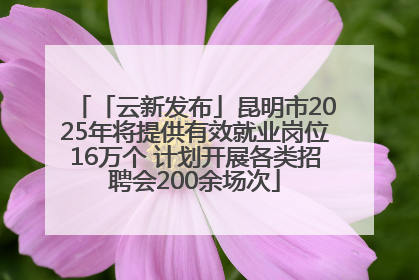「云新发布」昆明市2025年将提供有效就业岗位16万个 计划开展各类招聘会200余场次