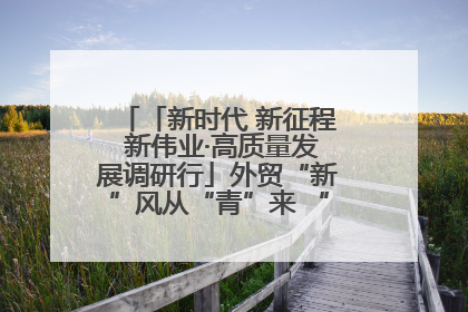 「新时代 新征程 新伟业·高质量发展调研行」外贸“新”风从“青”来 “双向奔赴”启新程