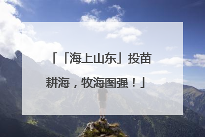 「海上山东」投苗耕海，牧海图强！