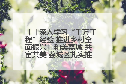「深入学习“千万工程”经验 推进乡村全面振兴」和美荔城 共富共美 荔城区扎实推进乡村振兴工作