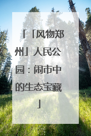 「风物郑州」人民公园：闹市中的生态宝藏