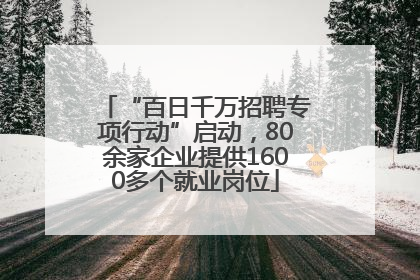 “百日千万招聘专项行动”启动，80余家企业提供1600多个就业岗位