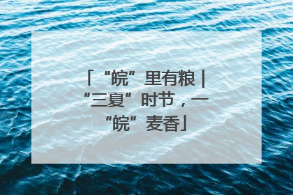 “皖”里有粮｜“三夏”时节，一“皖”麦香