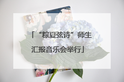“粽夏弦诗”师生汇报音乐会举行