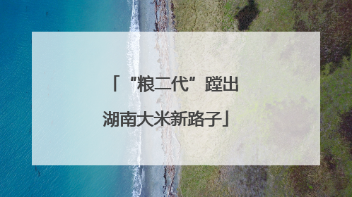 “粮二代”蹚出湖南大米新路子