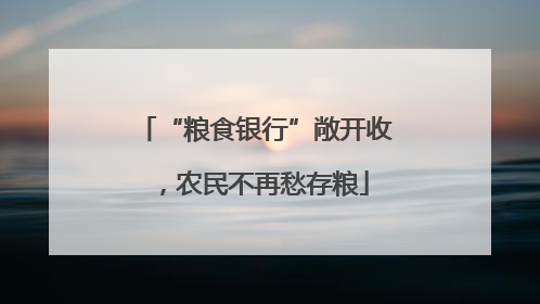 “粮食银行”敞开收，农民不再愁存粮