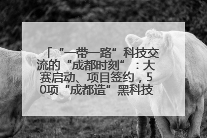 “一带一路”科技交流的“成都时刻”：大赛启动、项目签约，50项“成都造”黑科技吸引多国客商