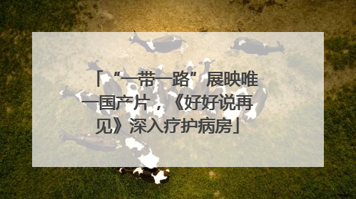 “一带一路”展映唯一国产片，《好好说再见》深入疗护病房
