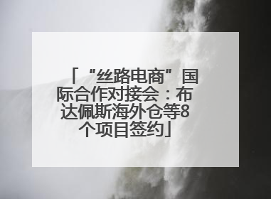 “丝路电商”国际合作对接会：布达佩斯海外仓等8个项目签约