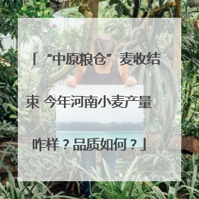 “中原粮仓”麦收结束 今年河南小麦产量咋样？品质如何？