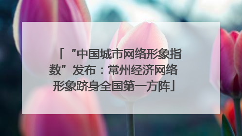 “中国城市网络形象指数”发布：常州经济网络形象跻身全国第一方阵