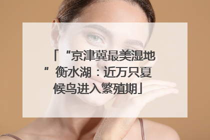 “京津冀最美湿地”衡水湖：近万只夏候鸟进入繁殖期