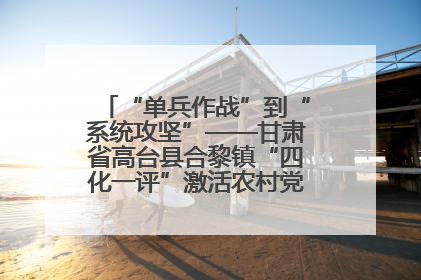 “单兵作战”到“系统攻坚”——甘肃省高台县合黎镇“四化一评”激活农村党员管理新引擎