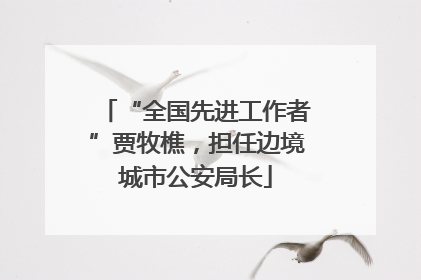 “全国先进工作者”贾牧樵，担任边境城市公安局长