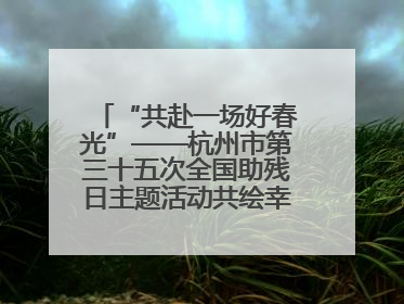 “共赴一场好春光”——杭州市第三十五次全国助残日主题活动共绘幸福答卷（组图）
