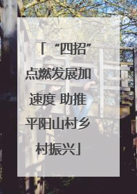 “四招”点燃发展加速度 助推平阳山村乡村振兴