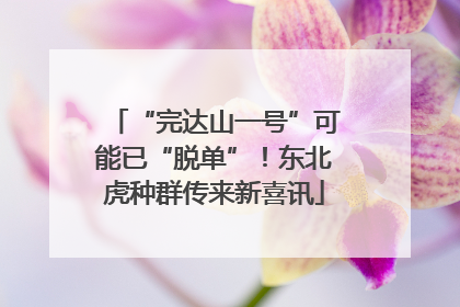 “完达山一号”可能已“脱单”！东北虎种群传来新喜讯