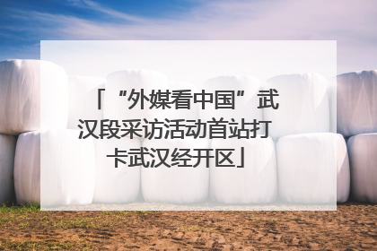 “外媒看中国”武汉段采访活动首站打卡武汉经开区