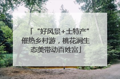 “好风景+土特产”催热乡村游，桃花涧生态美带动百姓富