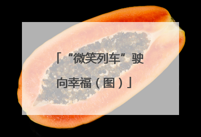 “微笑列车”驶向幸福（图）