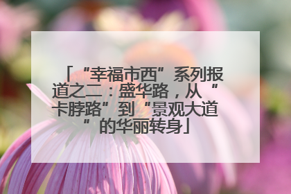 “幸福市西”系列报道之二：盛华路，从“卡脖路”到“景观大道”的华丽转身