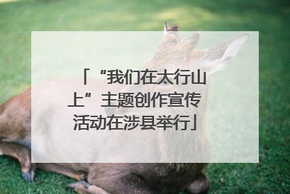 “我们在太行山上”主题创作宣传活动在涉县举行