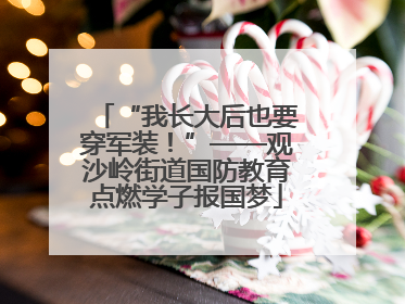“我长大后也要穿军装！”——观沙岭街道国防教育点燃学子报国梦