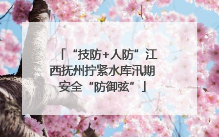 “技防+人防”江西抚州拧紧水库汛期安全“防御弦”