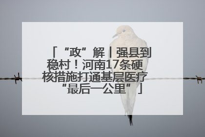 “政”解丨强县到稳村！河南17条硬核措施打通基层医疗“最后一公里”