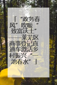 “政务春风”吹暖“致富沃土”——莱芜区商事登记直通车激活乡村振兴“一池春水”