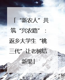 “新农人”共筑“兴农路”：返乡大学生“桃三代”让老树结新果