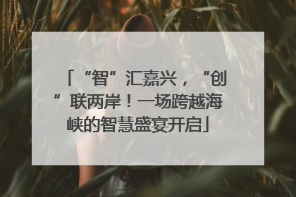 “智”汇嘉兴，“创”联两岸！一场跨越海峡的智慧盛宴开启