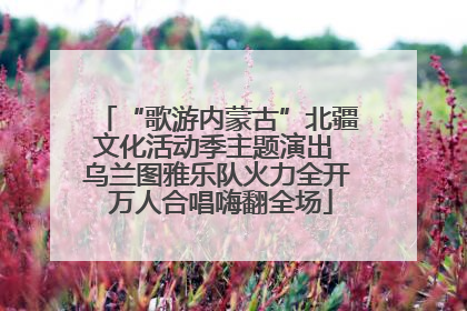 “歌游内蒙古”北疆文化活动季主题演出 乌兰图雅乐队火力全开 万人合唱嗨翻全场