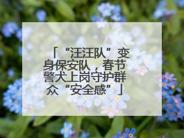 “汪汪队”变身保安队，春节警犬上岗守护群众“安全感”