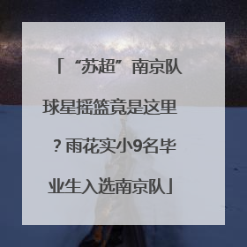 “苏超”南京队球星摇篮竟是这里？雨花实小9名毕业生入选南京队