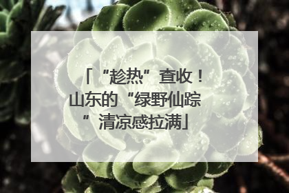 “趁热”查收！山东的“绿野仙踪”清凉感拉满