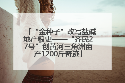 “金种子”改写盐碱地产粮史——“齐民27号”创黄河三角洲亩产1200斤奇迹