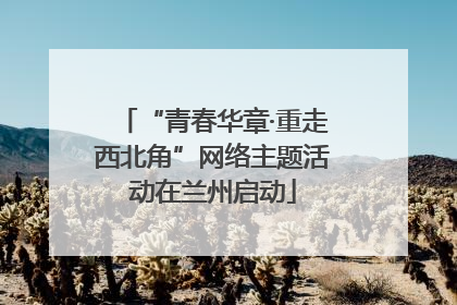 “青春华章·重走西北角”网络主题活动在兰州启动
