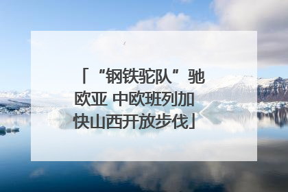 “钢铁驼队”驰欧亚 中欧班列加快山西开放步伐