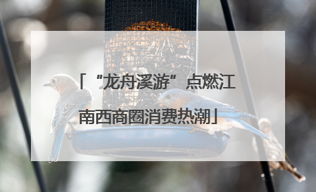 “龙舟溪游”点燃江南西商圈消费热潮