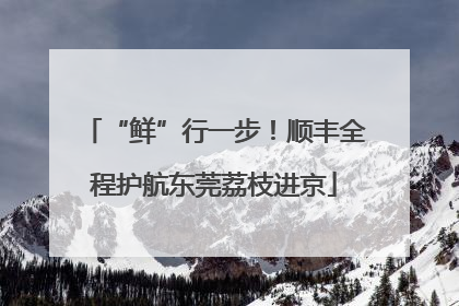 “鲜”行一步！顺丰全程护航东莞荔枝进京