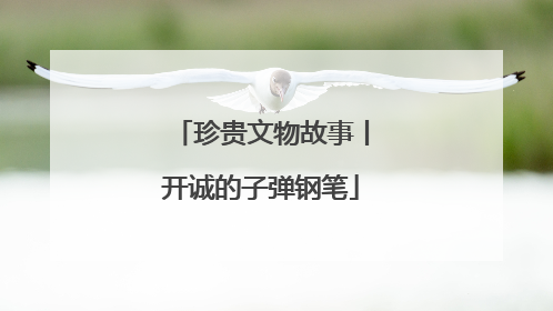 珍贵文物故事丨开诚的子弹钢笔