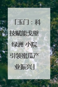 玉门：科技赋能戈壁绿洲 小院引领蜜瓜产业振兴