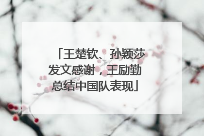 王楚钦、孙颖莎发文感谢，王励勤总结中国队表现