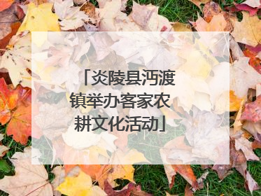 炎陵县沔渡镇举办客家农耕文化活动