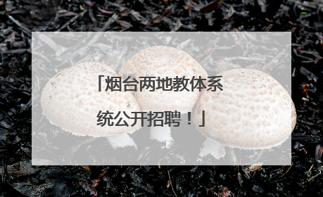 烟台两地教体系统公开招聘！