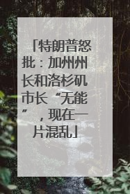 特朗普怒批：加州州长和洛杉矶市长“无能”，现在一片混乱